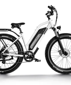 All Terrain Step Thru Electric Bike Cruiser ST/ D3 ST