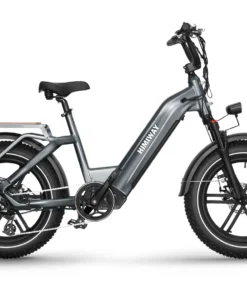 Electric Cargo Bike Big Dog